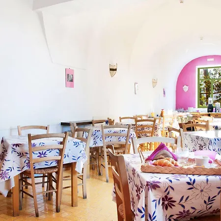 Purple Bed & Breakfast 2*